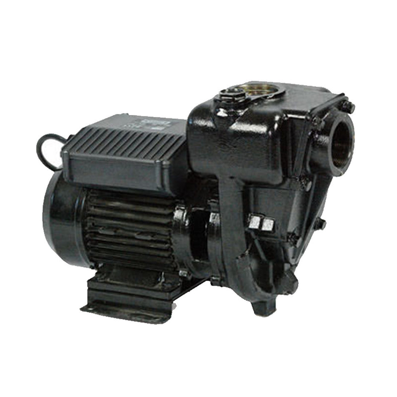 Piusi E300 Diesel Pump 240V AC 550lpm F00321000