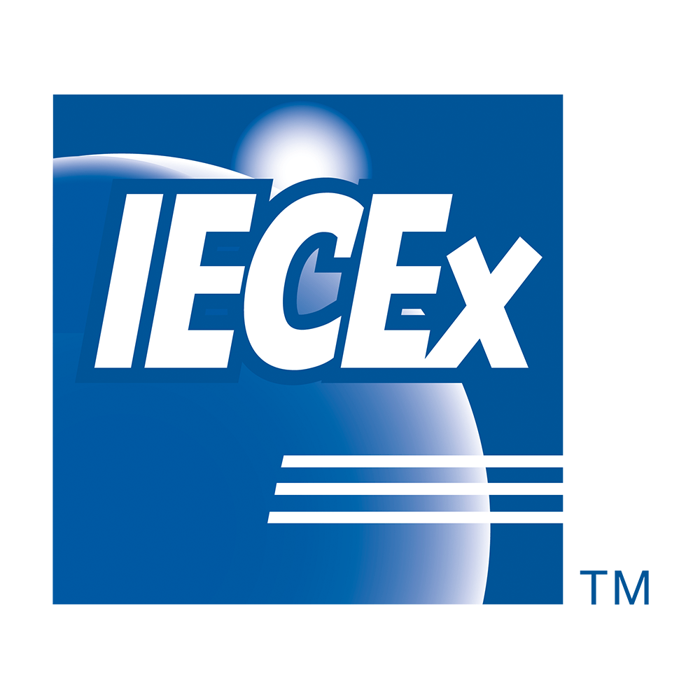 PIUSI EX50 Pump Kit 240V AC 50lpm - GO Industrial - F0037601B