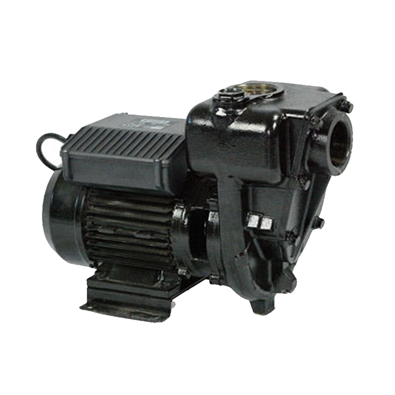 Piusi E300 Diesel Pump 240V AC 550lpm F00321000