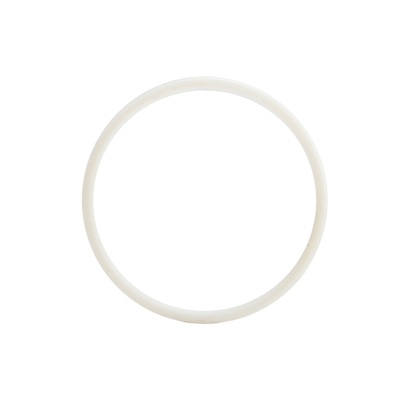 Graco Pro210ES Packing O-Ring