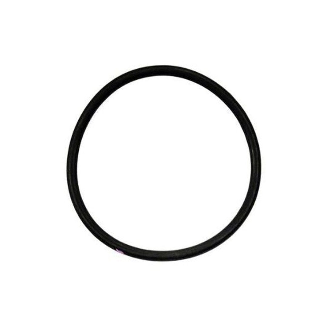 GRACO Cylinder O - Ring Packing for ProConnect Endurance Displacement Pump (Singles) - GO Industrial - 17V093