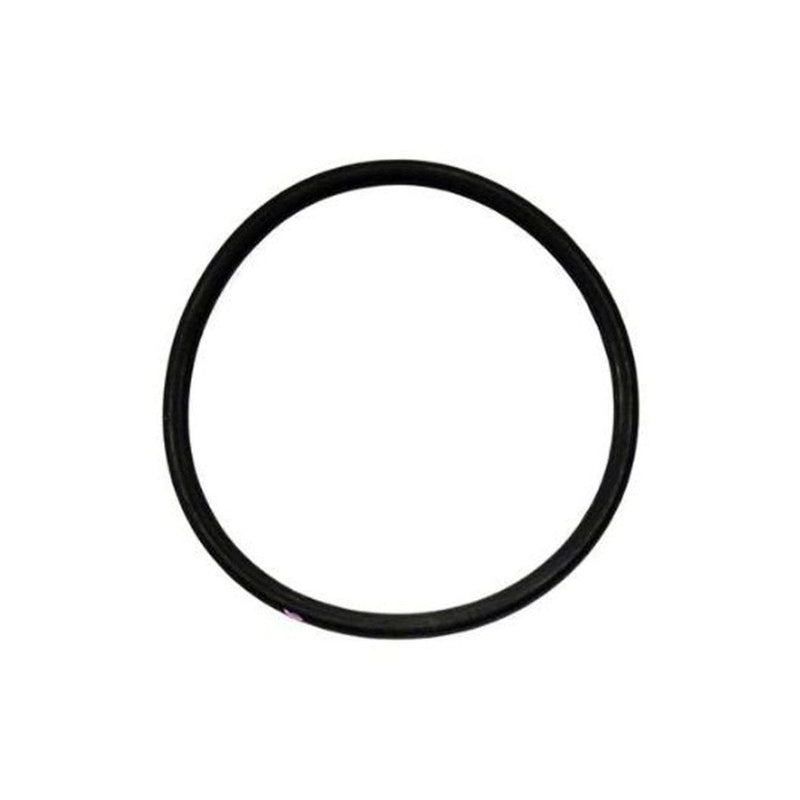 GRACO Cylinder O - Ring Packing for ProConnect Endurance Displacement Pump (Singles) - GO Industrial - 17V093