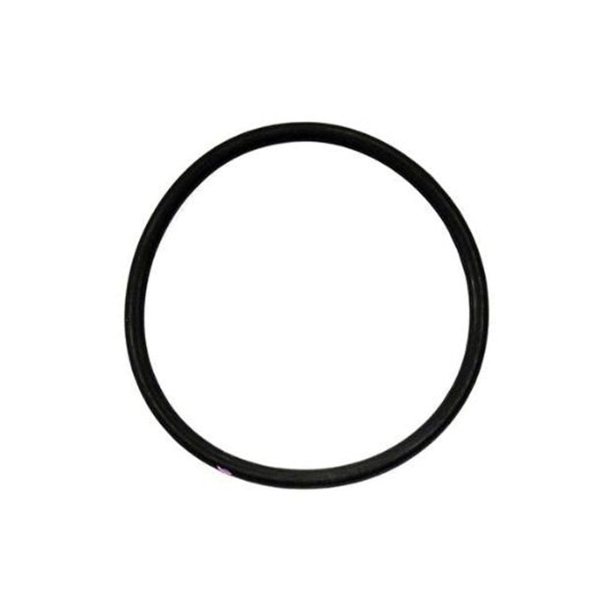 GRACO Cylinder O - Ring Packing for ProConnect Endurance Displacement Pump (Singles) - GO Industrial - 17V093