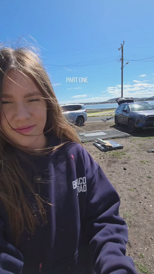 Video 2