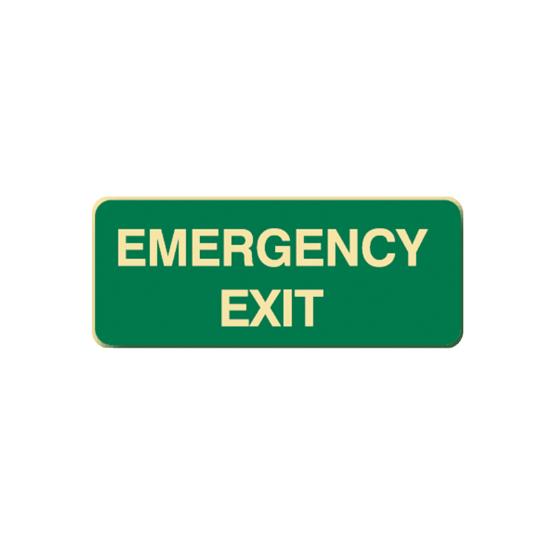 Brady Glow in the Dark and Standard Floor Sign Emergency Exit